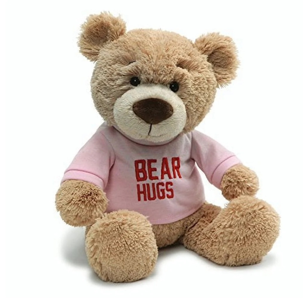 💕 NWT! RARE Gund Get Well Better Gift Corin Plush Teddy Bear Hugs Pink T shirt